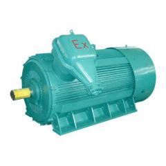 高压YB2隔爆型三相异步电动机（6000V/10000V，机座号355-560，160kW-1800kW，2P-8P，F级，ExdIMb/ExdIIBT4/ExdIICT4，IP55，3级能效）
