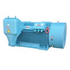 高压YB2隔爆型三相异步电动机（6000V/10000V，机座号355-560，160kW-1800kW，2P-8P，F级，ExdIMb/ExdIIBT4/ExdIICT4，IP55，3级能效）