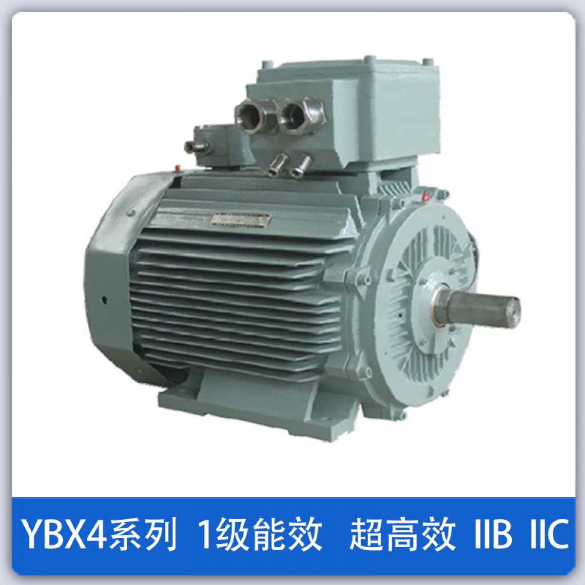 低压YBX4 高效率隔爆型三相异步电动机(380V/660V，机座号80～355，0.37kW～315KW，2-8极，F级，ExdⅡBT4 /ExdⅡCT4，IP55，1级能效)