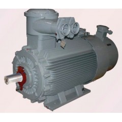 低压YBBP隔爆型变频调速三相异步电动机（380V/660V/1140V,机座号80-560,0.12kW-1400kW,B级/F级，ExdIMb/ExdIIBT4/ExdIICT4,IP55,2级能效）